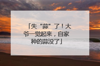 失“蒜”了！大爷一觉起来，自家种的蒜没了