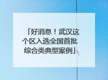好消息！武汉这个区入选全国首批综合类典型案例