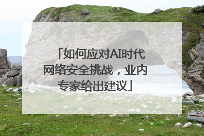 如何应对AI时代网络安全挑战，业内专家给出建议