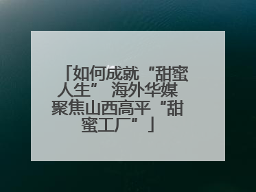 如何成就“甜蜜人生” 海外华媒聚焦山西高平“甜蜜工厂”