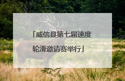 威信县第七届速度轮滑邀请赛举行