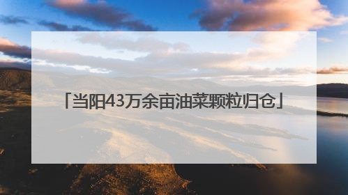当阳43万余亩油菜颗粒归仓