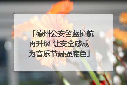 德州公安警蓝护航再升级 让安全感成为音乐节最强底色