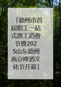 德州市首届职工一站式惠工消费节暨2025山东德州燕京啤酒文化节开幕