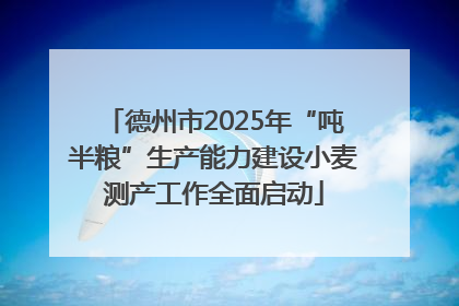 德州市2025年“吨半粮”生产能力建设小麦测产工作全面启动