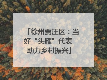 徐州贾汪区：当好“头雁”代表 助力乡村振兴