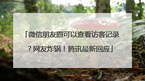 微信朋友圈可以查看访客记录？网友炸锅！腾讯最新回应