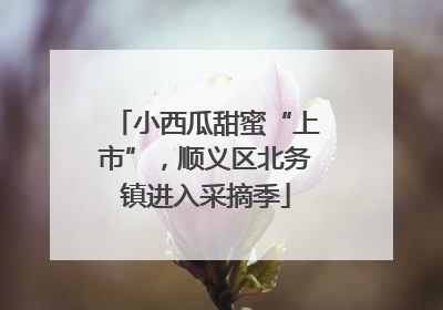 小西瓜甜蜜“上市”，顺义区北务镇进入采摘季