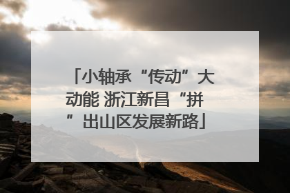 小轴承“传动”大动能 浙江新昌“拼”出山区发展新路