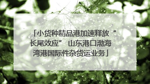 小货种精品港加速释放“长尾效应” 山东港口渤海湾港国际件杂货运业务