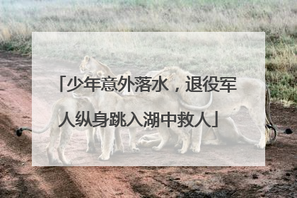少年意外落水，退役军人纵身跳入湖中救人