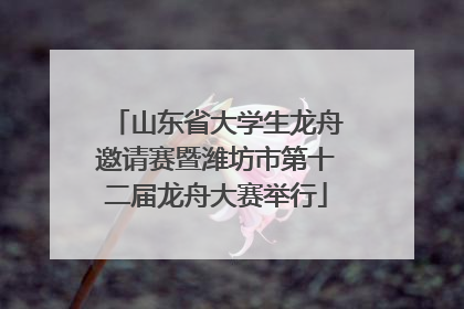 山东省大学生龙舟邀请赛暨潍坊市第十二届龙舟大赛举行