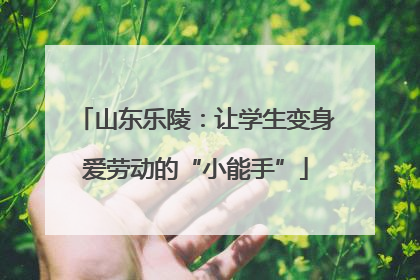 山东乐陵：让学生变身爱劳动的“小能手”