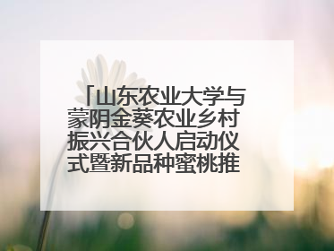 山东农业大学与蒙阴金葵农业乡村振兴合伙人启动仪式暨新品种蜜桃推介活动举行