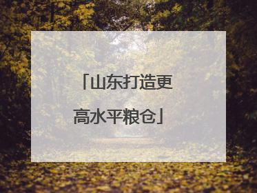 山东打造更高水平粮仓
