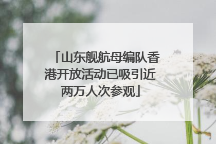 山东舰航母编队香港开放活动已吸引近两万人次参观