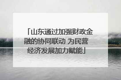 山东通过加强财政金融的协同联动 为民营经济发展加力赋能