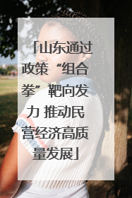 山东通过政策“组合拳”靶向发力 推动民营经济高质量发展