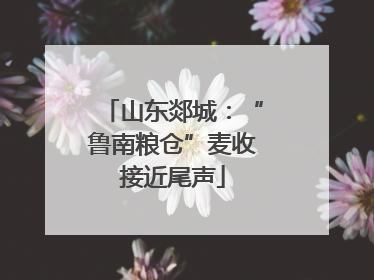 山东郯城：“鲁南粮仓”麦收接近尾声
