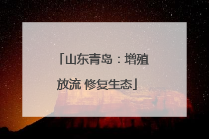 山东青岛：增殖放流 修复生态