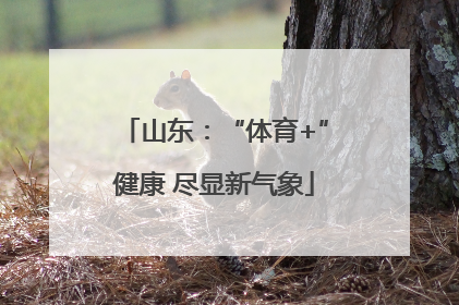 山东：“体育+”健康 尽显新气象