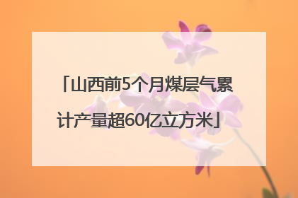 山西前5个月煤层气累计产量超60亿立方米