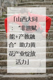 山西大同：“非遗赋能+产教融合”助力黄花产业绽放活力