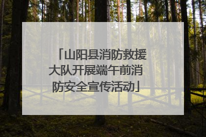 山阳县消防救援大队开展端午前消防安全宣传活动