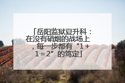 岳阳监狱夏升科：在没有硝烟的战场上，每一步都有“1＋1＝2”的笃定