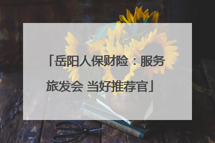 岳阳人保财险：服务旅发会 当好推荐官
