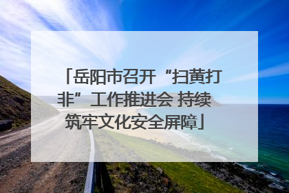 岳阳市召开“扫黄打非”工作推进会 持续筑牢文化安全屏障