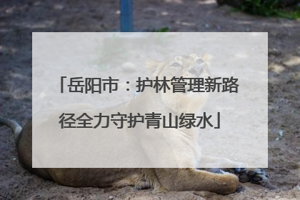 岳阳市：护林管理新路径全力守护青山绿水