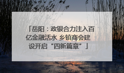 岳阳：政银合力注入百亿金融活水 乡镇商会建设开启“四新篇章”