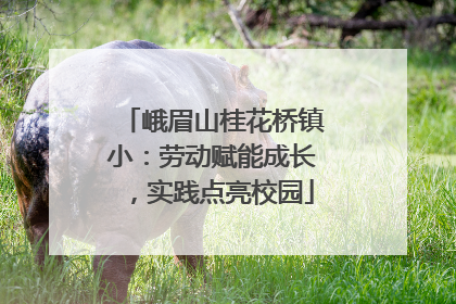 峨眉山桂花桥镇小：劳动赋能成长，实践点亮校园