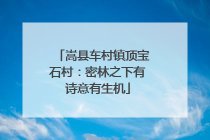 嵩县车村镇顶宝石村：密林之下有诗意有生机