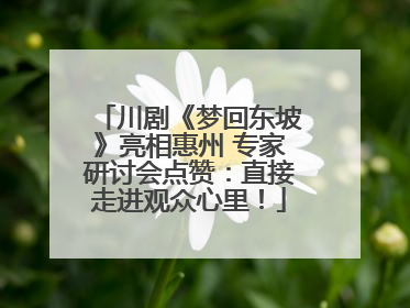 川剧《梦回东坡》亮相惠州 专家研讨会点赞：直接走进观众心里！