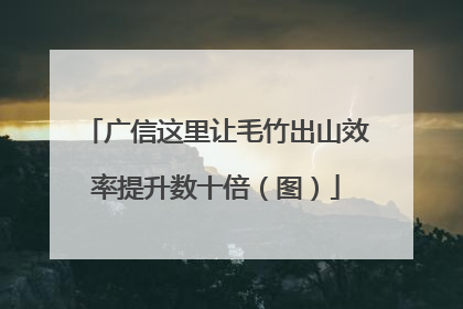 广信这里让毛竹出山效率提升数十倍（图）