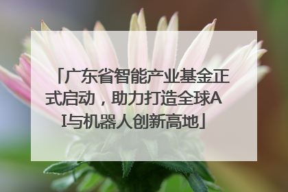 广东省智能产业基金正式启动，助力打造全球AI与机器人创新高地