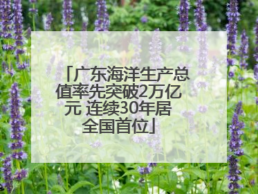 广东海洋生产总值率先突破2万亿元 连续30年居全国首位