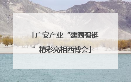 广安产业“建圈强链”精彩亮相西博会