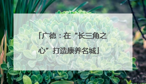 广德：在“长三角之心”打造康养名城