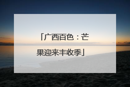 广西百色：芒果迎来丰收季
