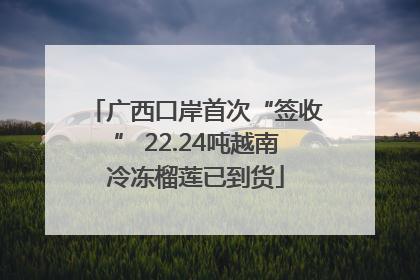 广西口岸首次“签收” 22.24吨越南冷冻榴莲已到货