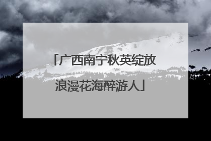 广西南宁秋英绽放 浪漫花海醉游人