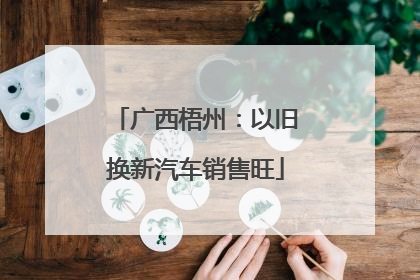 广西梧州：以旧换新汽车销售旺