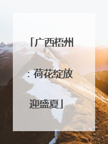 广西梧州：荷花绽放迎盛夏