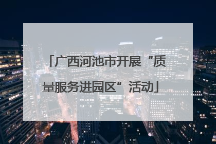 广西河池市开展“质量服务进园区”活动