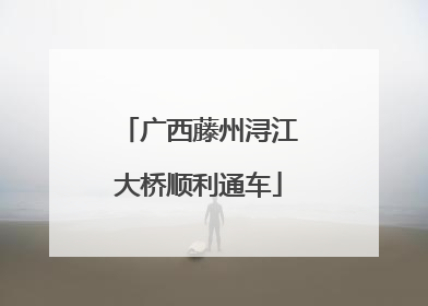 广西藤州浔江大桥顺利通车