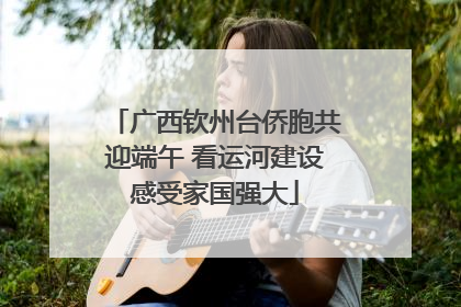 广西钦州台侨胞共迎端午 看运河建设感受家国强大