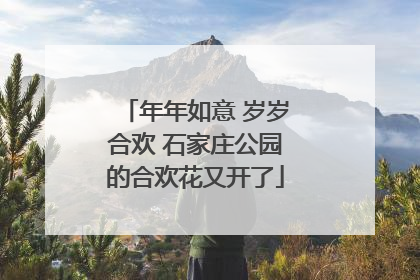 年年如意 岁岁合欢 石家庄公园的合欢花又开了